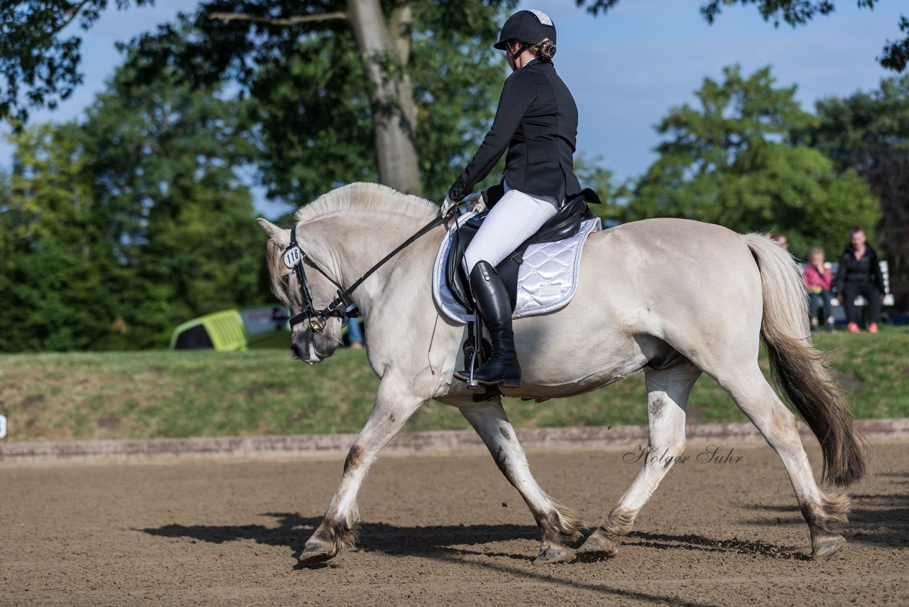 Bild 201 - Pony Akademie Turnier